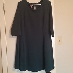 Emerald textured princess seam skater dress